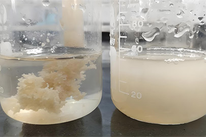 聚丙烯酰胺在酒廠(chǎng)廢水處理中的選型和效果